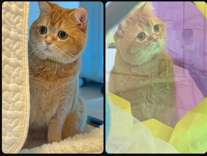 もこまるファミリー サムネイル